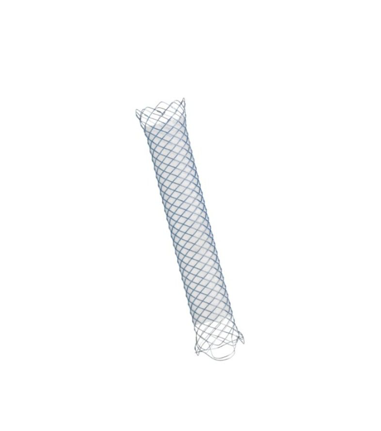 BILIARY STENT